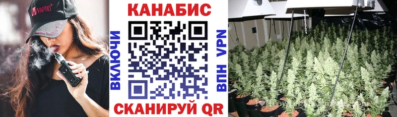 Бошки марихуана OG Kush закладки Дорогобуж